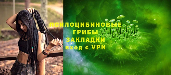 Альфа ПВП Арсеньев