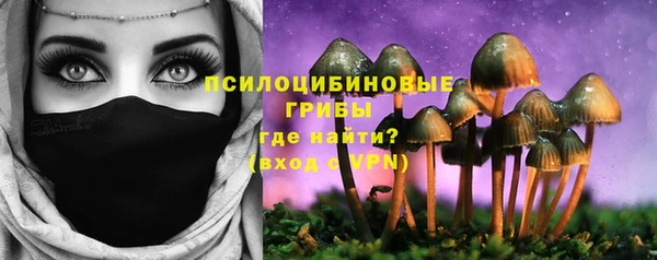 винт Алексеевка