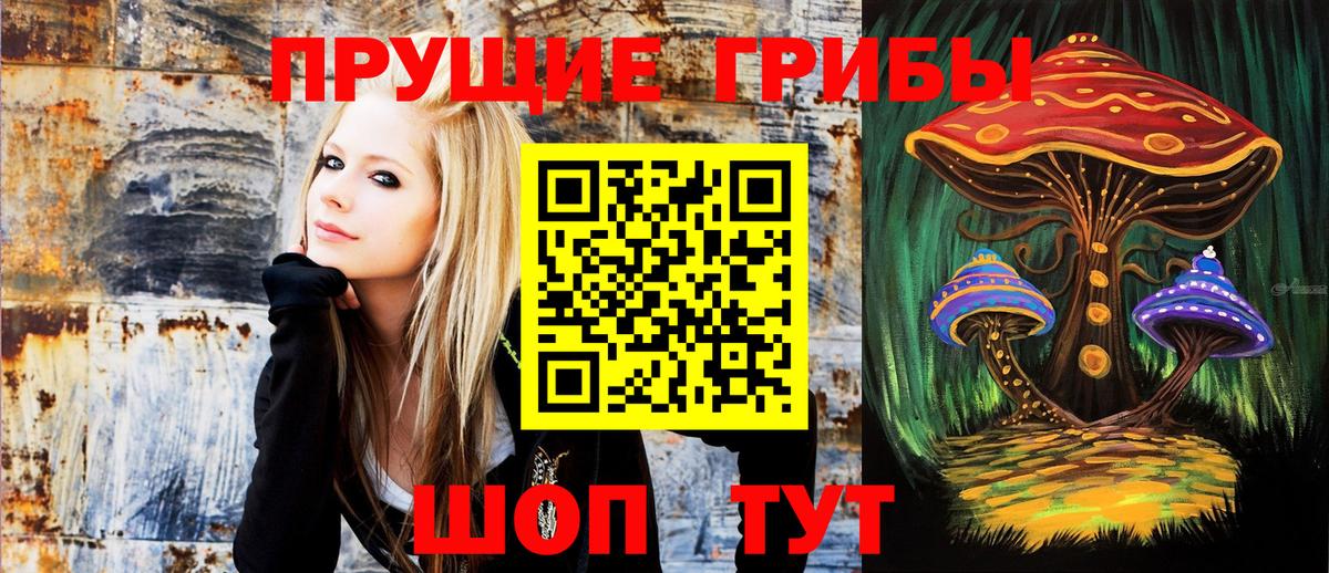 Псилоцибиновые грибы мицелий Новошахтинск