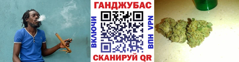 Канабис сатива Новошахтинск
